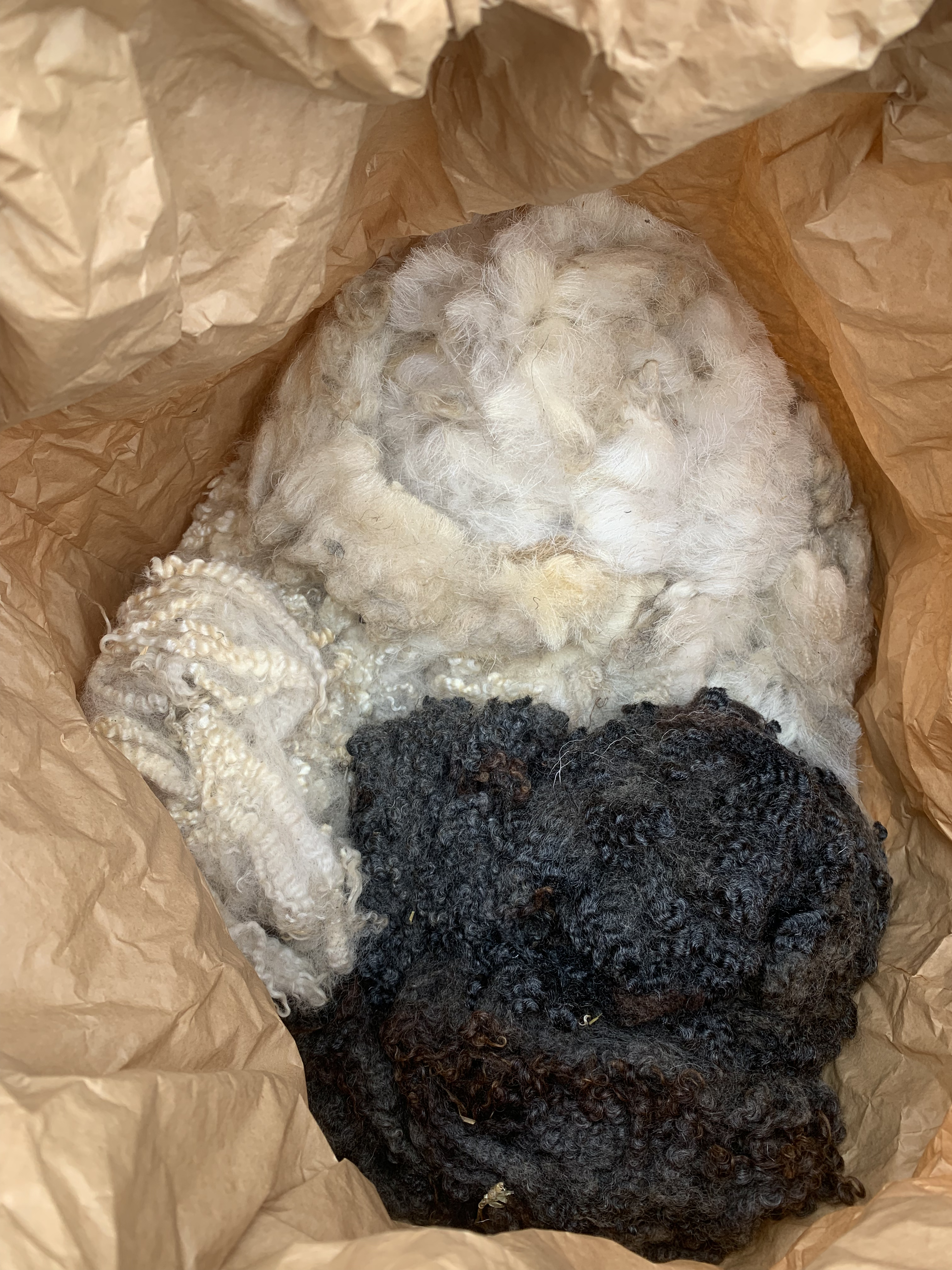 raw wool