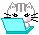 typingcat