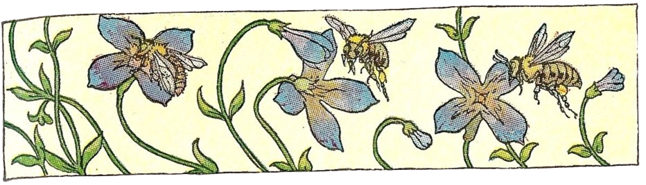flowernbee