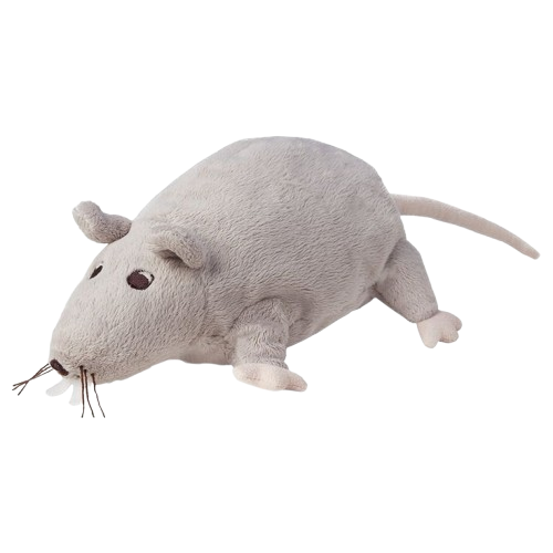 ratboy